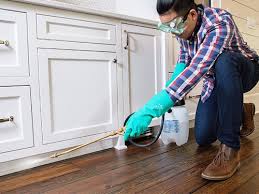 Best Pest Prevention Services  in Nashwauk, MN